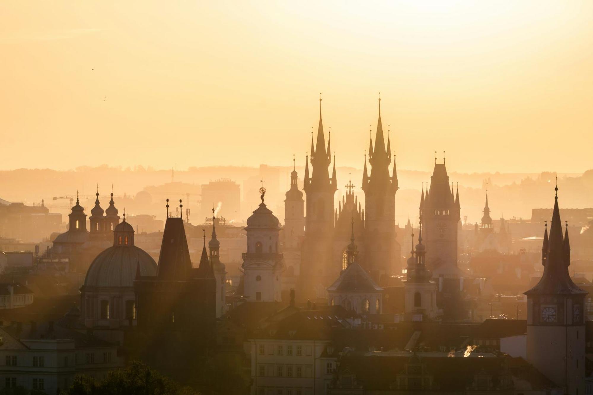 Visit Oomph Prag
